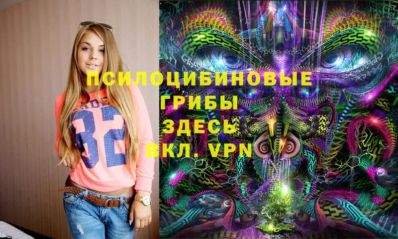 Псилоцибиновые грибы MAGIC MUSHROOMS  Ершов 